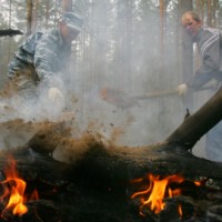 На 6,1 тысячи гектаров сократилась площадь лесных пожаров в Сибири