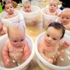 babies-in-buckets_1372405i