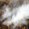 В Сибири действуют 128 очагов природных пожаров на площади около 5,9 тысячи гектаров
