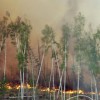 В России за сутки увеличилось число природных пожаров и возросла их площадь - МЧС