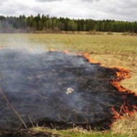 На территории Воронежской области введен особый противопожарный режим