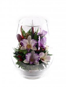 Орхидеи фиолетового тона 24863 ― е-Рубцовск.рф