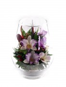 Орхидеи фиолетового тона 24863