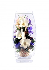 Белая и сине-фиолетовая орхидеи 27253 ― е-Рубцовск.рф