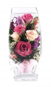 Яркая и светлая розовые розы 27895