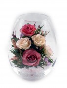 Яркая и светлая розовые розы 27932