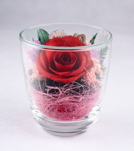 Красная роза 28960 ― е-Рубцовск.рф