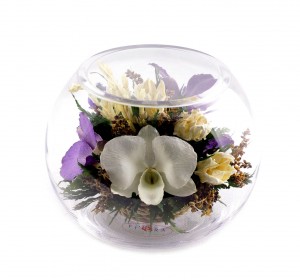 Белая и сине-фиолетовая орхидеи 29516 ― е-Рубцовск.рф