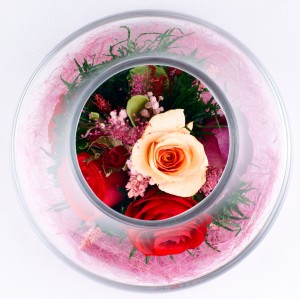 Розы красного тона 29653 ― е-Рубцовск.рф