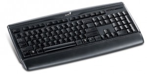 Клавиатура Genius KB-120 USB ― е-Рубцовск.рф